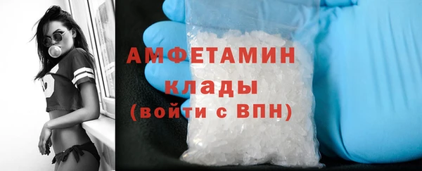 сатива Баксан