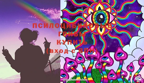сатива Баксан