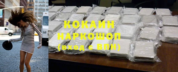 сатива Баксан