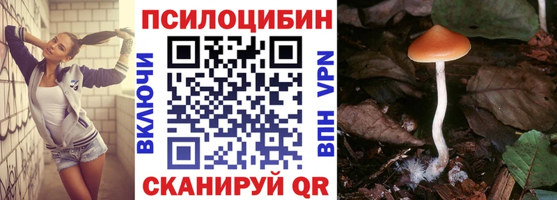 Галлюциногенные грибы ЛСД  Купить закладки  Николаевск-на-Амуре 