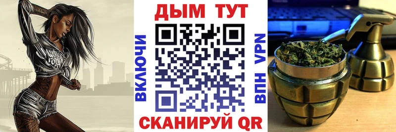Купить где  Николаевск-на-Амуре  Бошки Шишки семена 
